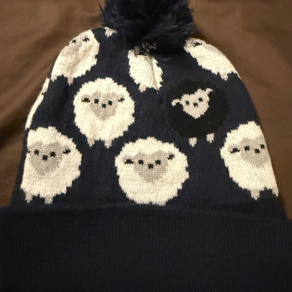 Winter Hat - Picture 1 of 4